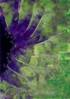 Clicca per visualizzare l'ingrandimento